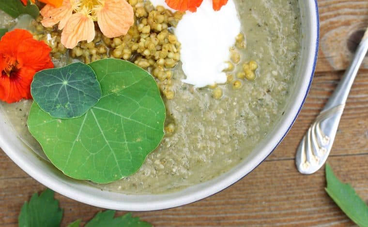 Zucchini Coconut Soup - Truefoodsblog