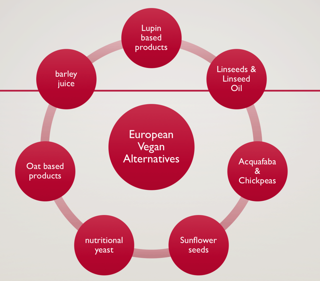 EU based Vegan Ingredients list by Moritz Truefoodsblog