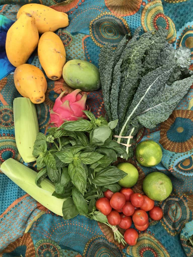 Farmers Market Kauai by Truefoodsblog