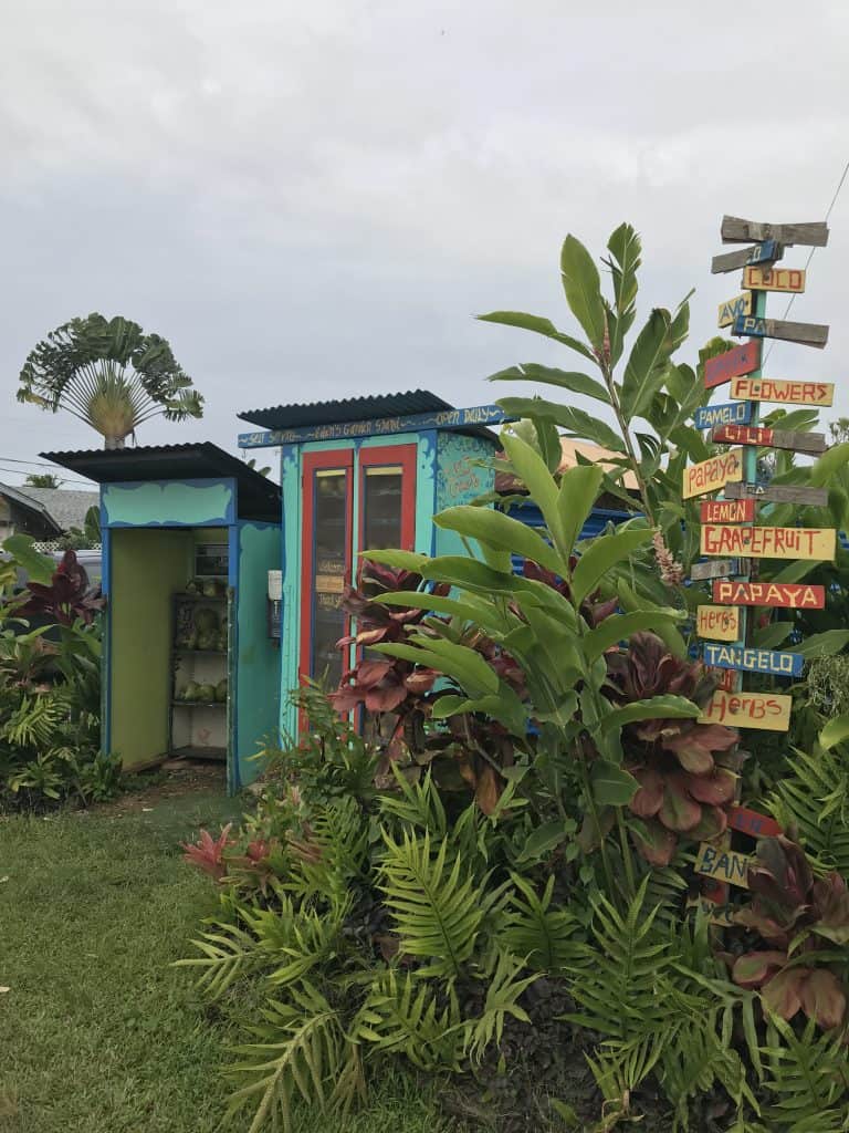 Fruit Stand Kauai by Truefoodsblog