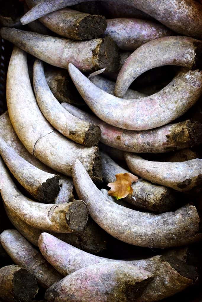 Manure filled horns at La Fattoria la Vialla by Truefoodsblog